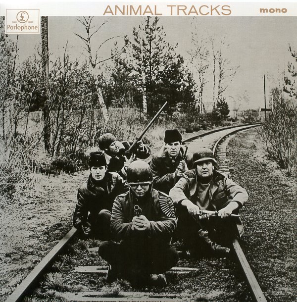 ANIMAL TRACKS