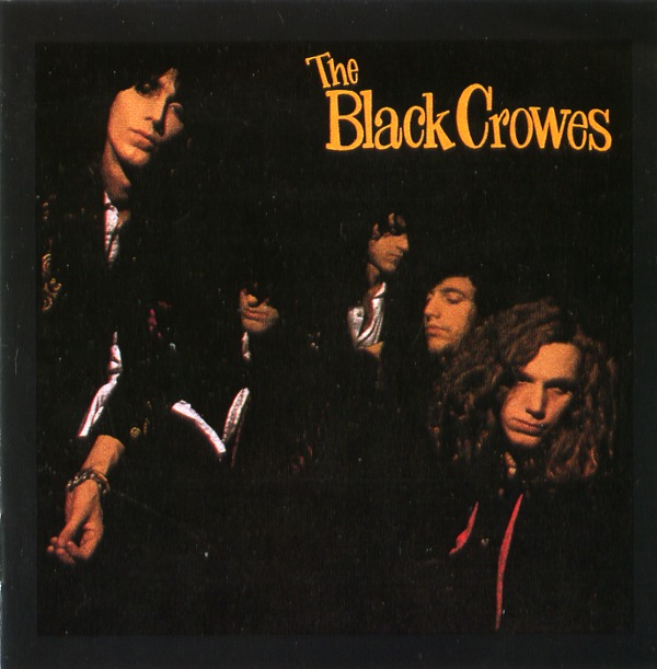 SHAKE YOUR MONEY MAKER