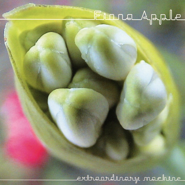 EXTRAORDINARY MACHINE