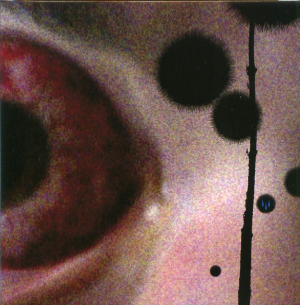 HOLY TEARS+NOT IN RIVERS,BUT IN DROPS