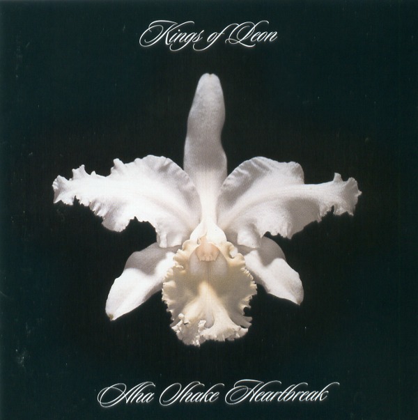 AHA SHAKE HEARTBREAK