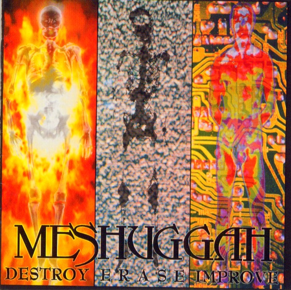 DESTROY ERASE IMPROVE