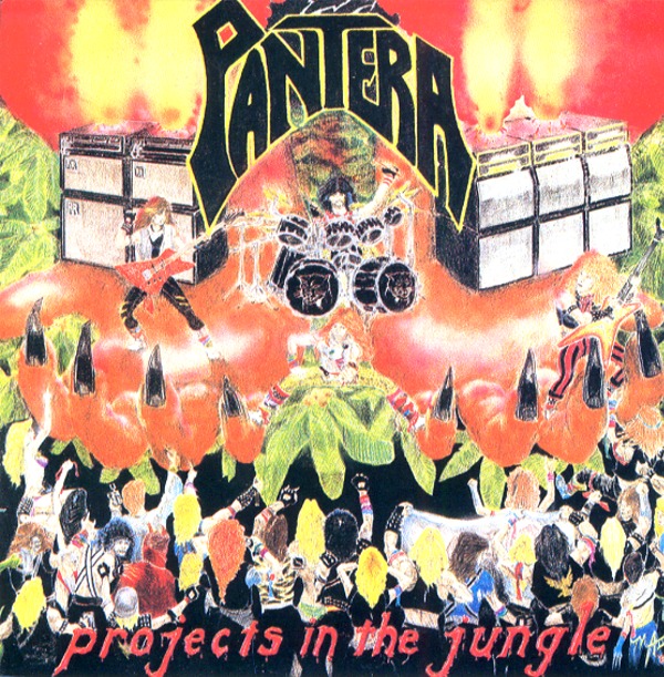 PROJECT IN THE JUNGLE