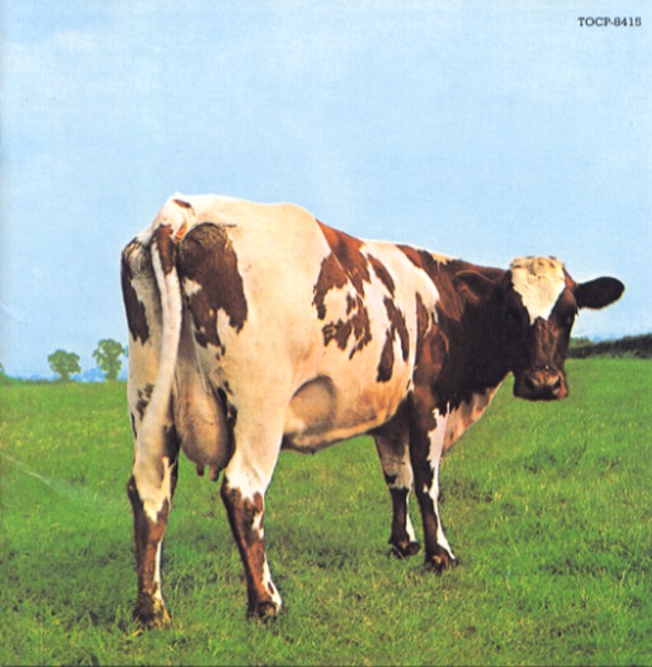 ATOM HEART MOTHER