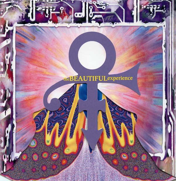 THE BEAUTIFUL EXPERIENCE