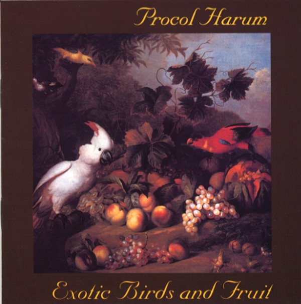 EXOTIC BIRDS AND FRUIT