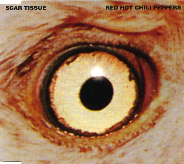 SCAR TISSUE