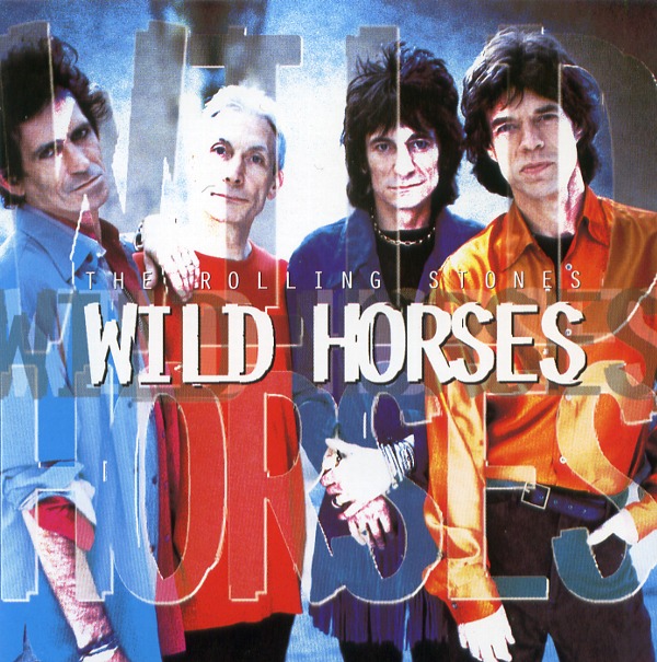 WILD HORSES