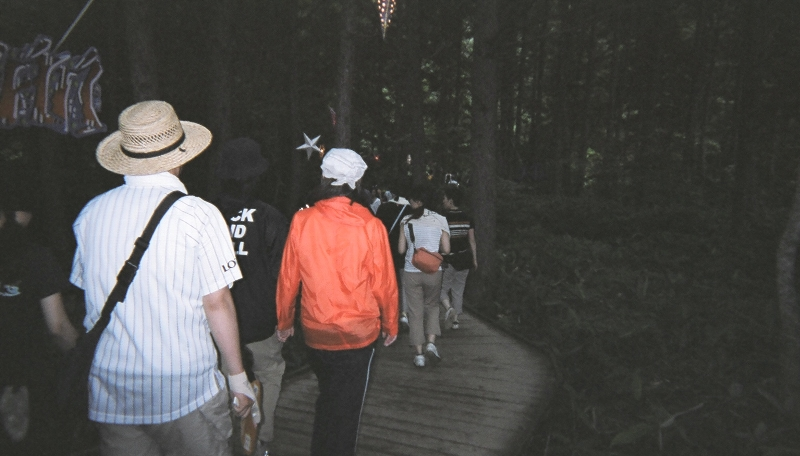 ボードウォークは林の中を通るので明るくありません。 