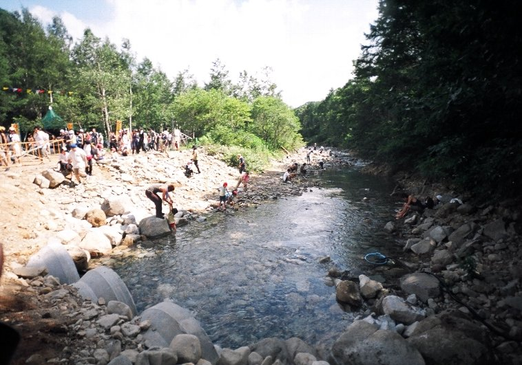 上流側。さすがに泳ぐ人は見られません。 