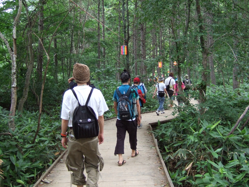 森の中を歩きます。本来は車いすで山を散策できるように作られた道で、フジロックフェスティバルのための施設ではありません。