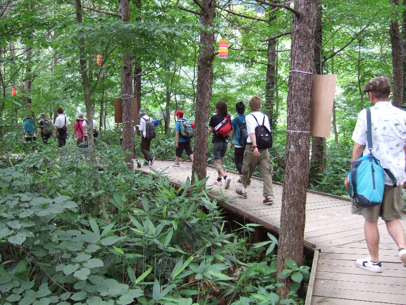 他木を縫うように設置されているのでまっすぐな場所はほとんどありません。