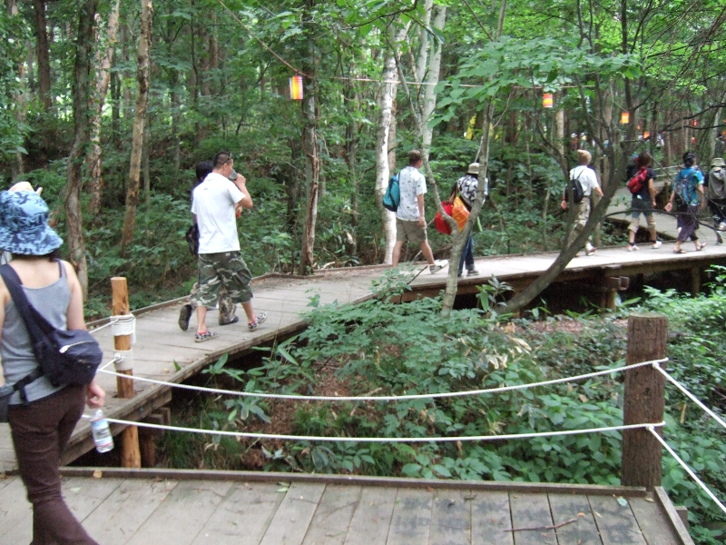 秋はこのあたりが最も紅葉が美しいらしい。