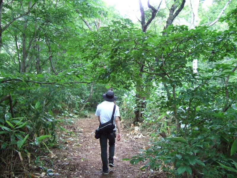 このあたりは平坦ですが・・・。