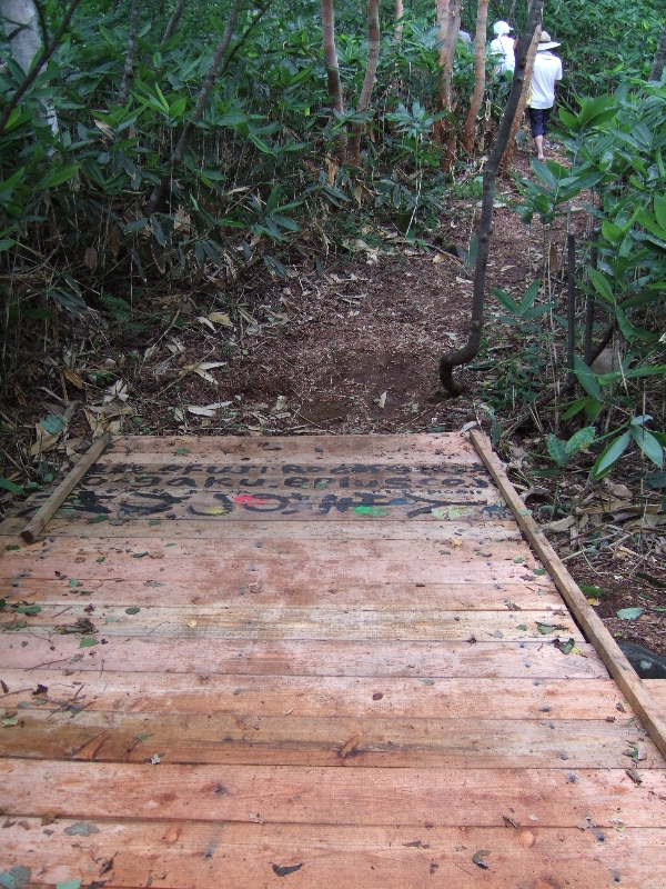 ボードウォークは未完で、途中から通常の山道になります。