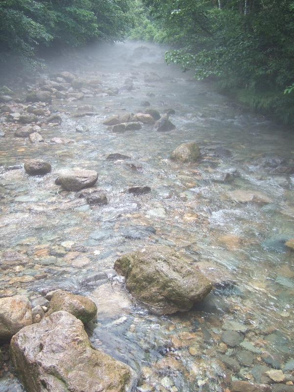 上流側。雨が降ってやんだ直後なので川にもやがかかっています。晴れれば消えます。いかにも涼しそうです。