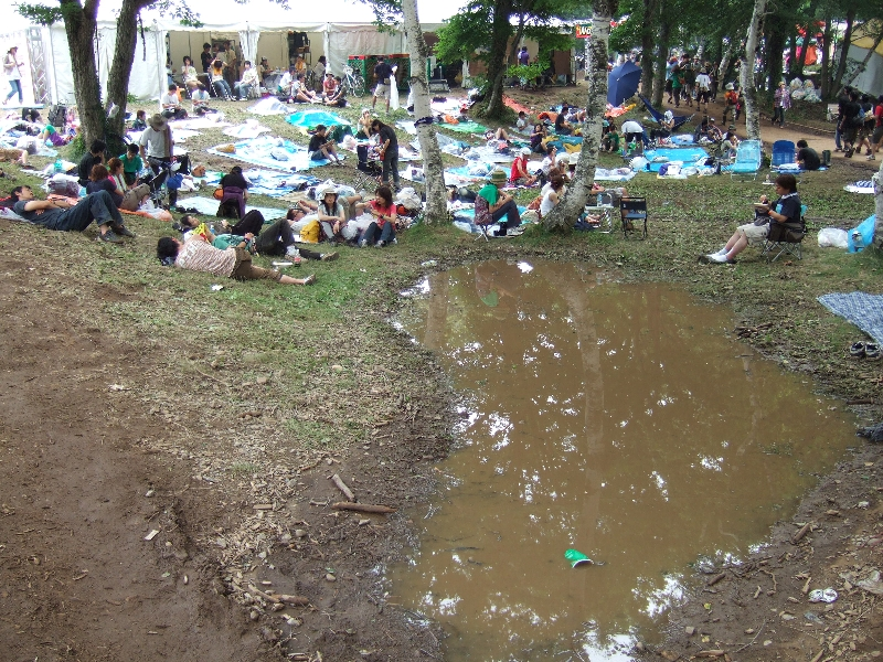 オアシス。池と化しています。