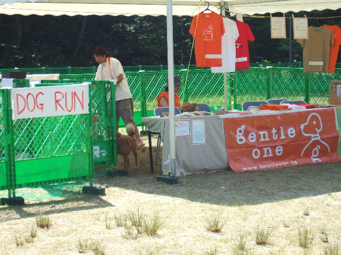犬が2匹見えます。