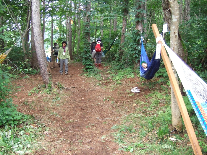 オーガニック・ビレッジとNGOビレッジを結ぶ山道。公式には存在しないことになっています。
