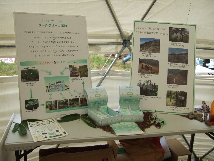 ドームの内部その3。