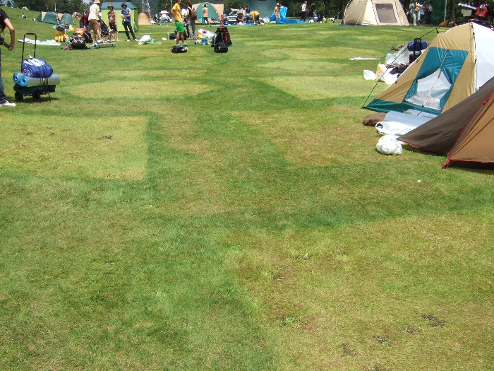 午前11時ごろ。