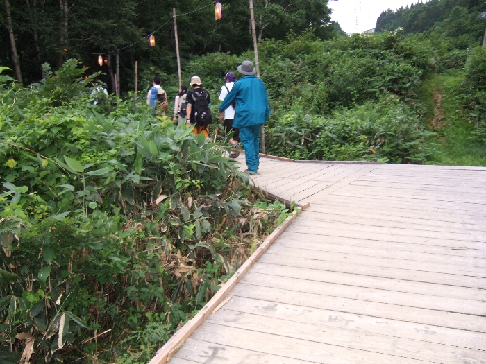 折れ曲がったところから林の中に入ります。