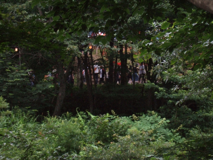 ボードウォークから見えるグリーン・ステージ～ホワイト・ステージ間の通路。