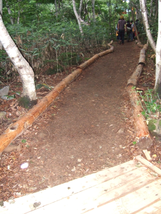 道はできているので、来年以降には整備されているでしょう。 