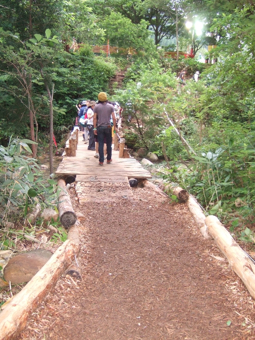 浅貝川を渡る橋。昨年は「みどり橋」という表示がありましたが今年はありません。 