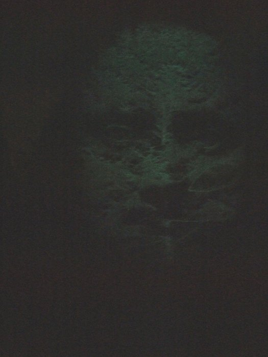 ボードウォークの南行きを歩いてすぐのところ。光で人の顔をかたどっています。光が当てられているのは近くの木々。