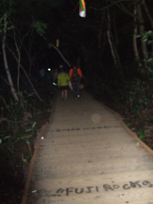 1人でグリーン・ステージに向かうならボードウォークを利用せず、素直に通常ルートを行った方が安全です。