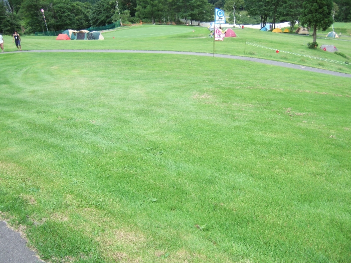 DサイトとGサイトの境目。テントもまばらです。