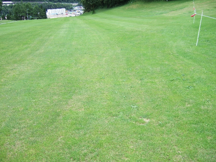 Gサイトの最も遠いところ。なだらかな斜面なので、わざわざここまで来る必然性はありません。これより手前に平らな場所があるので、そこにテントを設営するのが賢明です。遠くに見えるのは場内1駐車場と場外ショップエリア。