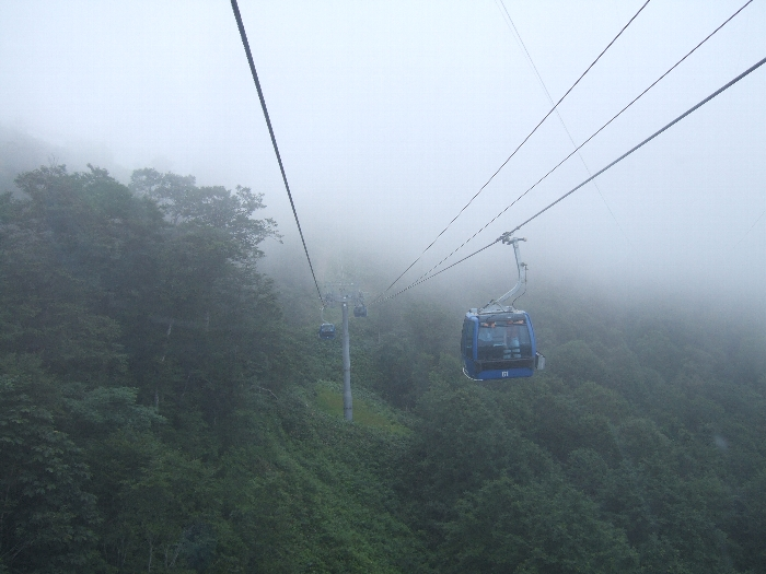 途中で雨が降り、霧の中に突入していきます。