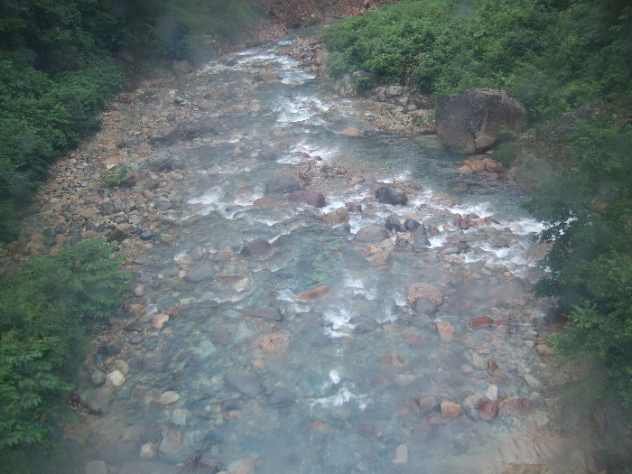 川が最も近くに見えるところ。人の手が入っていない自然の状態。