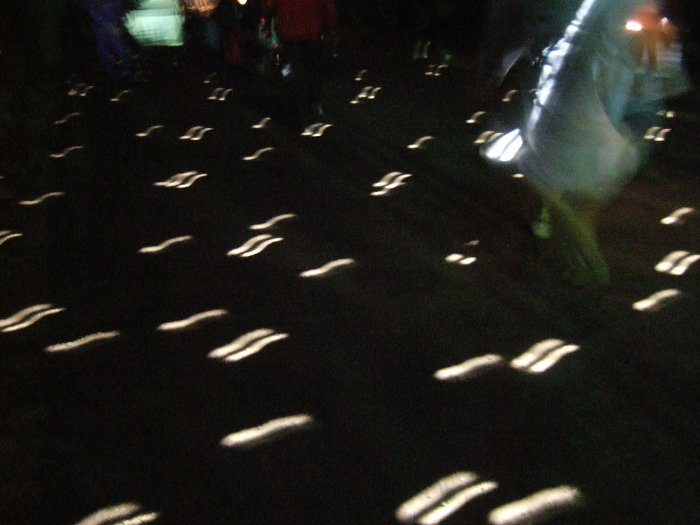 ミラーボールは風で揺れるので、光も揺れます。人によっては見ているうちに酔います。 