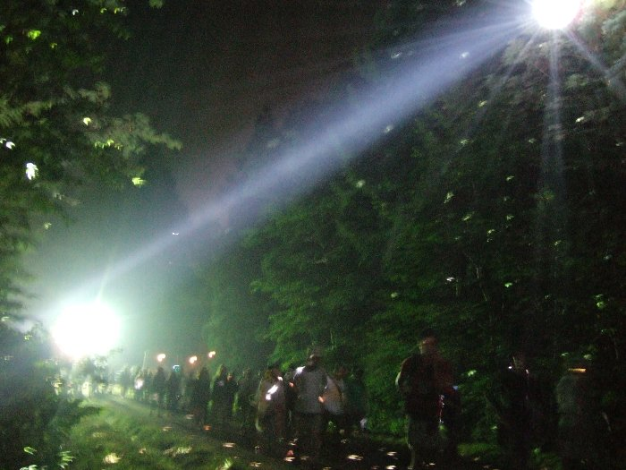 夜になると頭上のミラーボールにライトが当てられ、木々や通路を照らします。