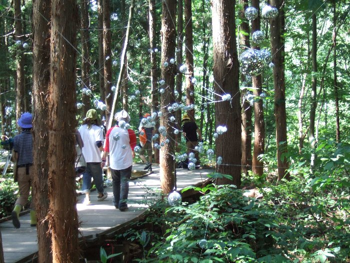 同じような景色が続いて退屈しかけるころ、すなわちボードウォークの後半にミラーボールが多くなります。