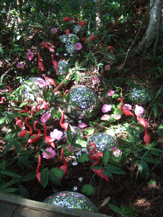 別の場所。かなり奥にもいます。 