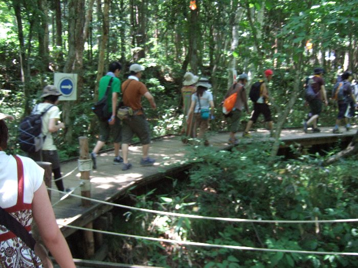 ボード・ウォークの後半。