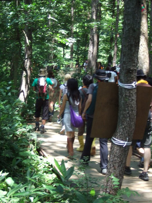 やがて木陰が多くなります。