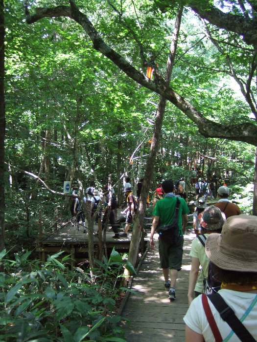 かなりの通行量。