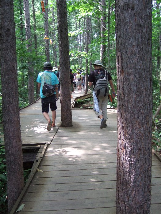 木を切らないように板をくりぬかれたところ。