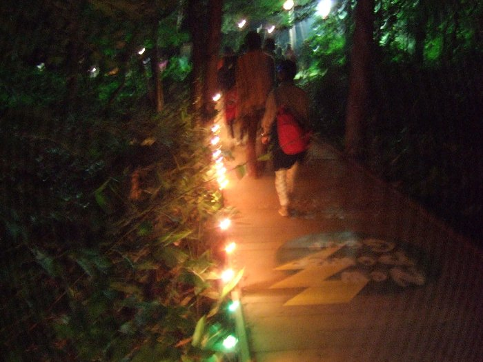 オレンジ・コートでオールナイト・フジが行われている時間は、ボードウォークを逆行して帰ります。通常のルートでは帰れません。