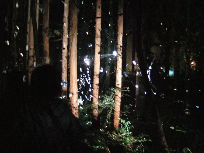 ミラーボールその2。