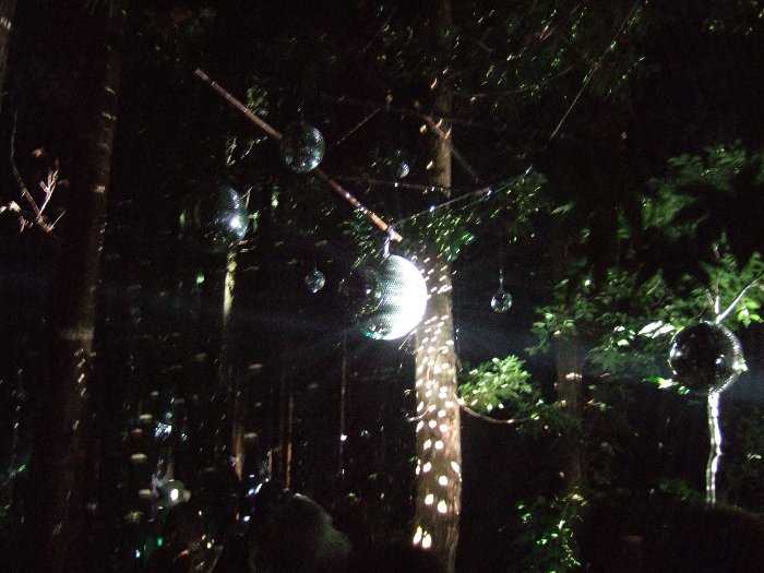 ミラーボールその3。昼間はそのまま飾ってあるだけです。