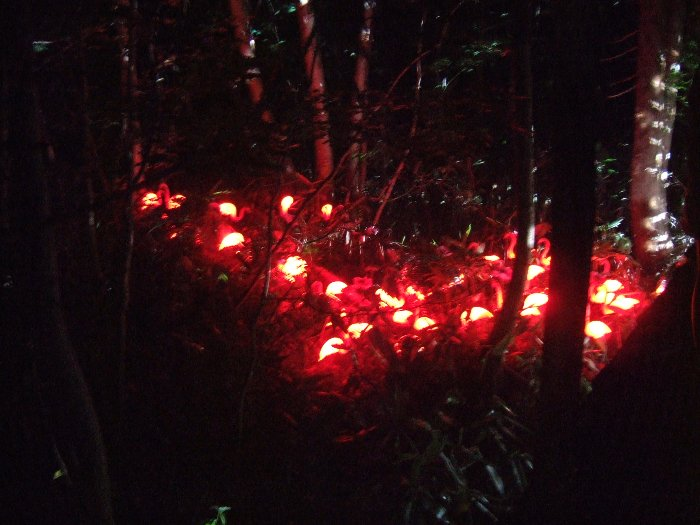 フラミンゴ。ミラーボールも含めて、フィールド・オブ・ヘブンやオレンジ・コートに近いところにあります。 