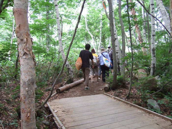 例年通り、途中から板もなくなり、土の上を歩きます。