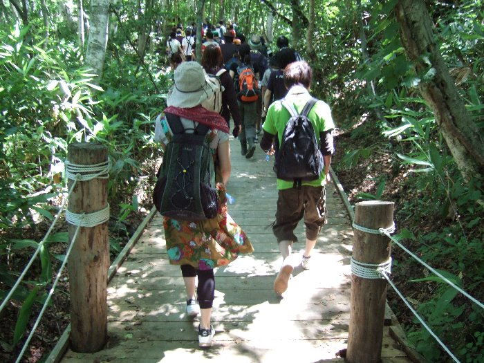 途中から両横のガードがなくなります。