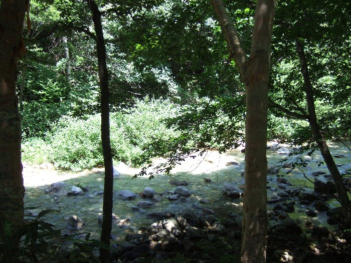 実際は川の音と匂いがあるので休むにはいい場所ですが、写真になると味気ない。 